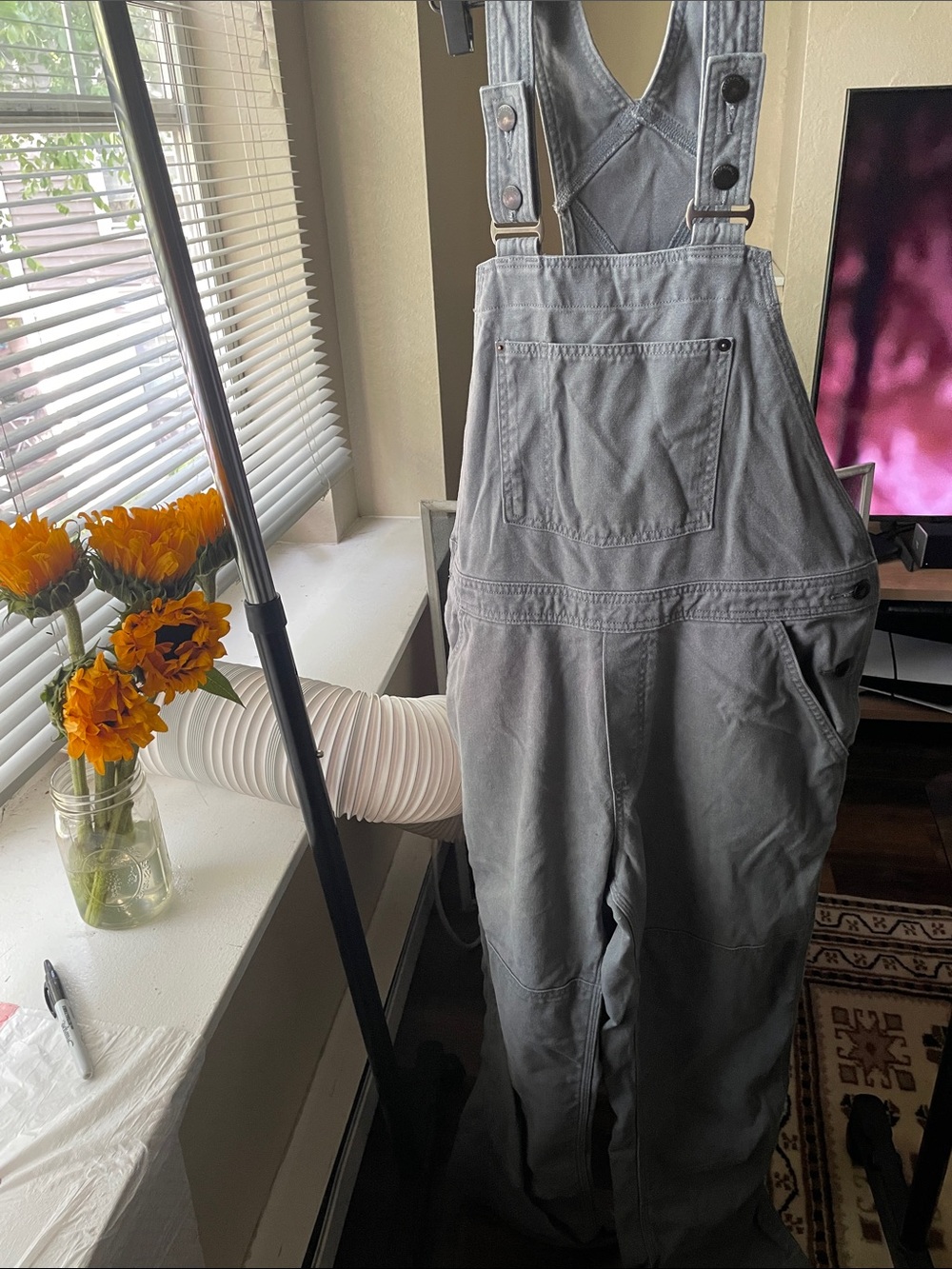 Patagonia Hemp Overalls